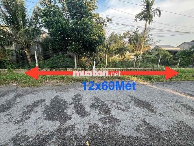 ĐẤT NGỘP TẠI KCN PHƯỚC ĐÔNG 12x60Mét CÓ THỔ CƯ, SỔ RIÊNG H.GÒ DẦU