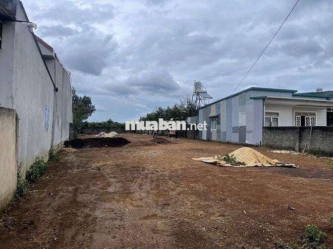 914m2 - Sẵn 200m2 Thổ Cư - mặt tiền Trịnh Hoài Đức - Lộc - Nga Bảo Lộc