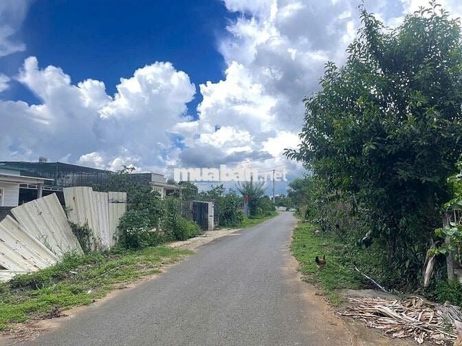 914m2 - Sẵn 200m2 Thổ Cư - mặt tiền Trịnh Hoài Đức - Lộc - Nga Bảo Lộc