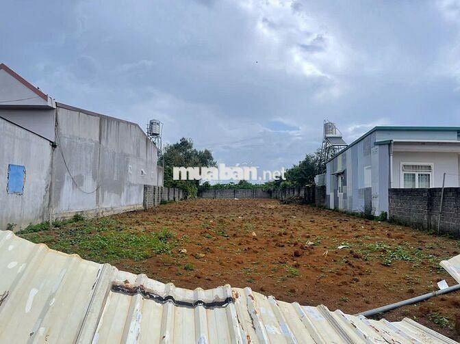 914m2 - Sẵn 200m2 Thổ Cư - mặt tiền Trịnh Hoài Đức - Lộc - Nga Bảo Lộc