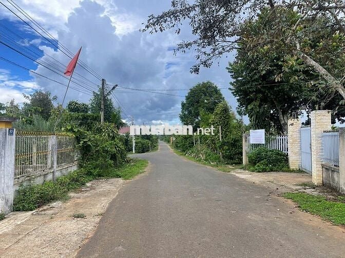914m2 - Sẵn 200m2 Thổ Cư - mặt tiền Trịnh Hoài Đức - Lộc - Nga Bảo Lộc