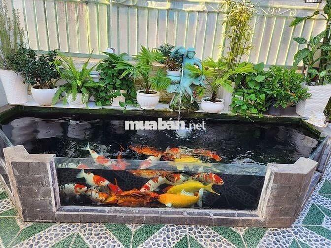 Nhà 2 mặt tiền hoàn công Nguyễn Bỉnh Khiêm – TT Bảo Lộc – full thổ cư