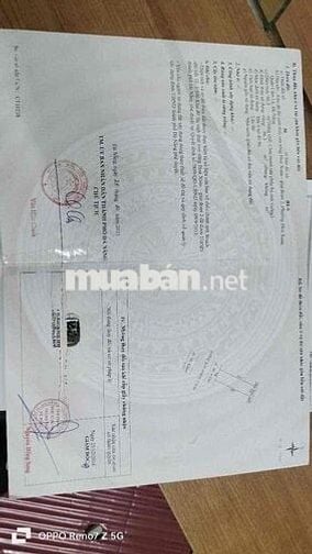 BÁN LÔ ĐÔI NGUYỄN SẮC KIM GIÁ ĐẦU TƯ