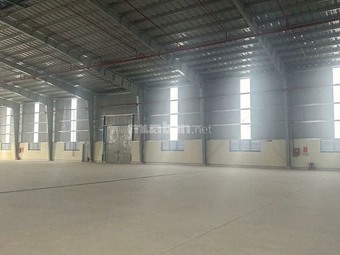 Cho thuê kho xưởng 3.300m²  trong KCN Tây Ninh, PCCC tự động, công 24h