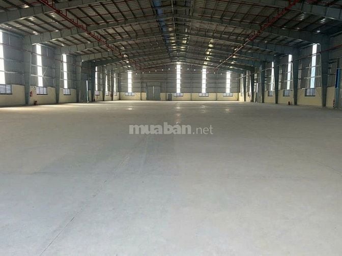 Cho thuê kho xưởng 3.300m²  trong KCN Tây Ninh, PCCC tự động, công 24h
