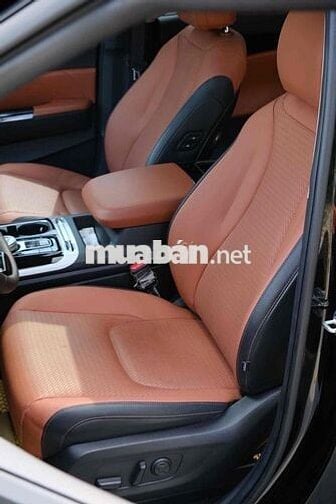 Kia Carnival 2023 Signature 3.5G - 22000 km