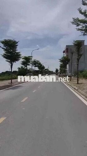 Chính chủ cần bán gấp lô đất đấu giá Huỳnh cung Tam hiệp Thanh Trì Hà