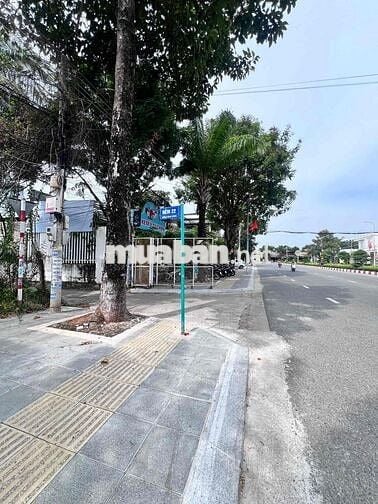 - Hôm nay em đi đo đạt đất  Lô đất Ngay trung Tâm Long Hải    -sau cà