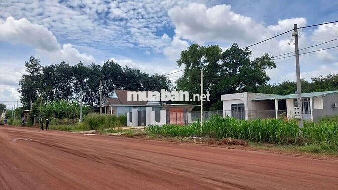 Chú em cần tiền gấp để chữa bệnh cần bán gấp 3000m2 giá 530tr