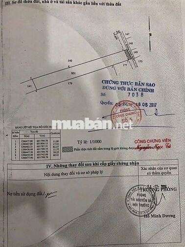 Đất 1135m Thổ Cư SHR Đường Nhị Bình 15