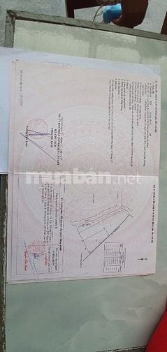 Đất đường xe hơi Duyên Hải, Long Hòa, Cần Giờ: 14.514m2, giá 8,5tr/m2