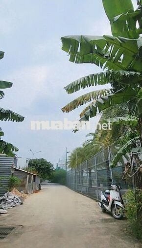 🌱🌱 Bán Đất Bình Nhâm 42 – Ngang 7,5m – 156m² Giá 3,95 Tỷ