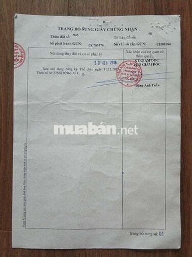 CHÍNH CHỦ CẦN BÁN GẤP LÔ ĐẤT THỔ CƯ 2 MẶT TIỀN TẠI ĐÔNG THẠNH, HÓC MÔN