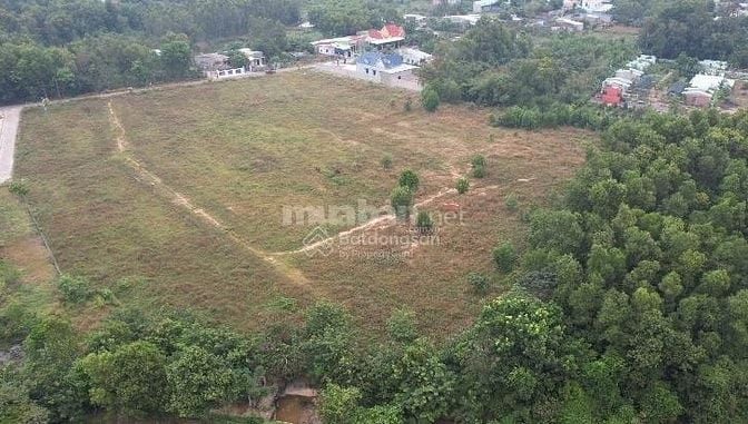 Bán đất đầu tư TX Phú Mỹ DT 3311m2 có thổ cư gần hồ Châu Pha mát mẻ