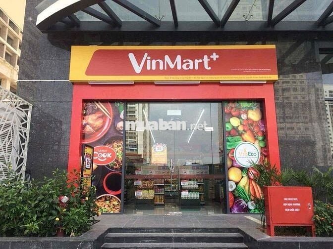 Bà Ngoại bán đất chia tài sản Q8 Đ.Phạm Thế Hiển p7 SHR, Full thỗ cư ,