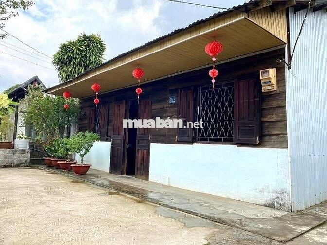 Nhà thổ cư 369m² Phan Chu Trinh – Lộc Tiến, gần Nhà thờ Tân Hà, 3.2 tỷ