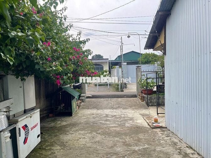 Nhà thổ cư 369m² Phan Chu Trinh – Lộc Tiến, gần Nhà thờ Tân Hà, 3.2 tỷ