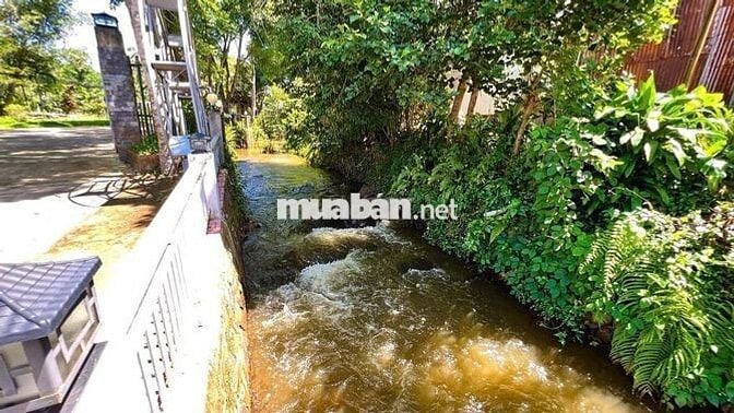 Nhà vườn Bảo Lộc 500m² -100 TC view suối, full nội thất gỗ quý 7.8 tỷ