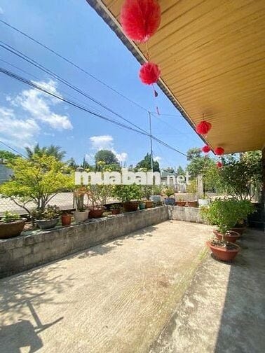 Nhà thổ cư 369m² Phan Chu Trinh – Lộc Tiến, gần Nhà thờ Tân Hà, 3.2 tỷ