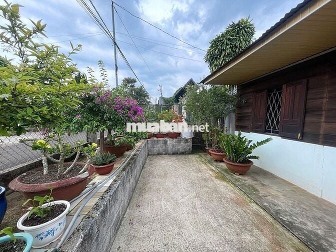 Nhà thổ cư 369m² Phan Chu Trinh – Lộc Tiến, gần Nhà thờ Tân Hà, 3.2 tỷ