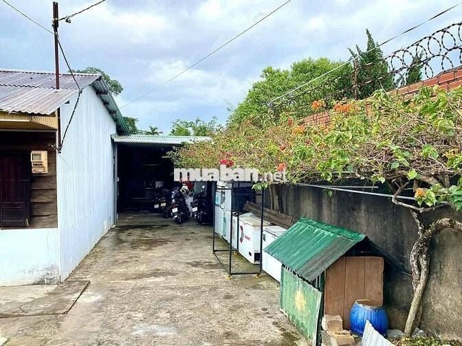 Nhà thổ cư 369m² Phan Chu Trinh – Lộc Tiến, gần Nhà thờ Tân Hà, 3.2 tỷ