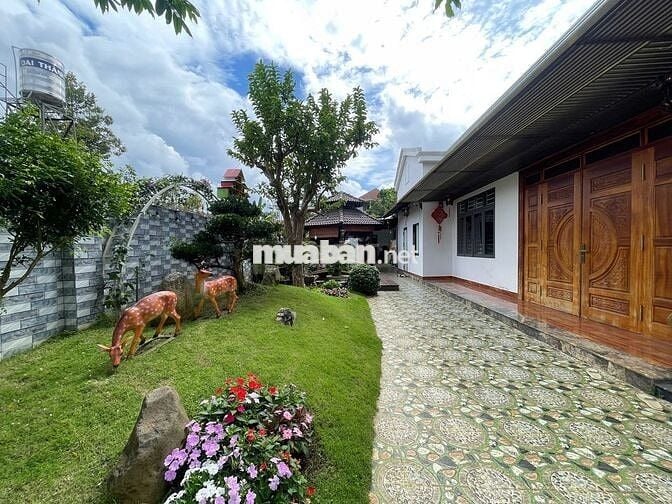 Nhà vườn Bảo Lộc 500m² -100 TC view suối, full nội thất gỗ quý 7.8 tỷ