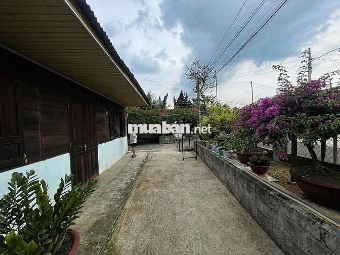 Nhà thổ cư 369m² Phan Chu Trinh – Lộc Tiến, gần Nhà thờ Tân Hà, 3.2 tỷ