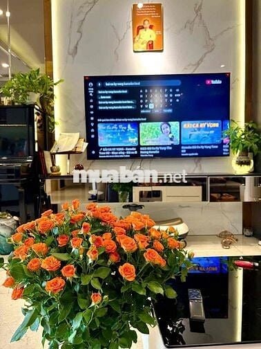 BÁN CĂN HỘ CAO CẤP VIỆT ĐỨC COMPLEX (39 LÊ VĂN LƯƠNG)