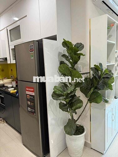 SIÊU HÓT CĂN 2N2VS CHỈ 3,7 TỶ FULL ĐỒ TẠI VHOP