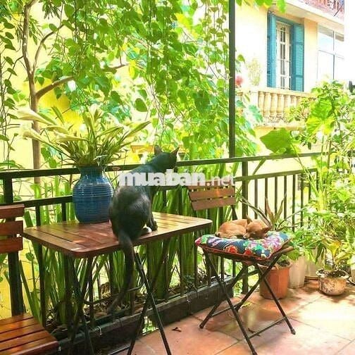 Phân Lô Thẳng Tắp Chính Cần Bán