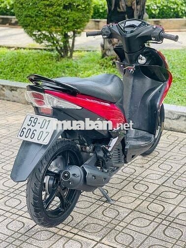 luvias Fi biển tp