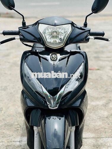 SYM shark biển 71