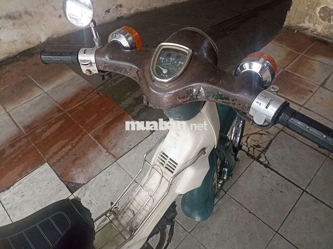 Honda Cub 81 50 zin đẹp máy êm giấy TP HCM