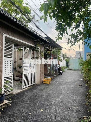 2 CĂN NHÀ 2 TẦNG BTCT VÀ CẤP 4,  256M² NGANG 10M, HẺM XE HƠI, CHỈ 6.5T