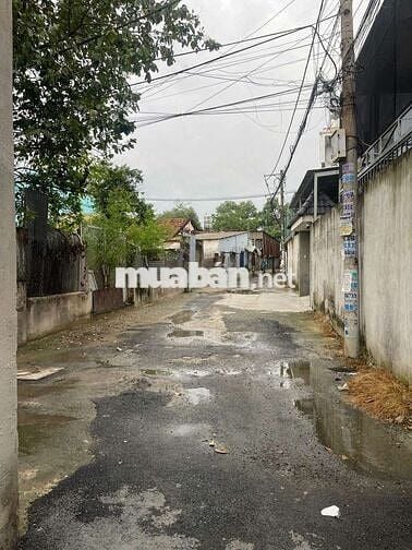 2 CĂN NHÀ 2 TẦNG BTCT VÀ CẤP 4,  256M² NGANG 10M, HẺM XE HƠI, CHỈ 6.5T