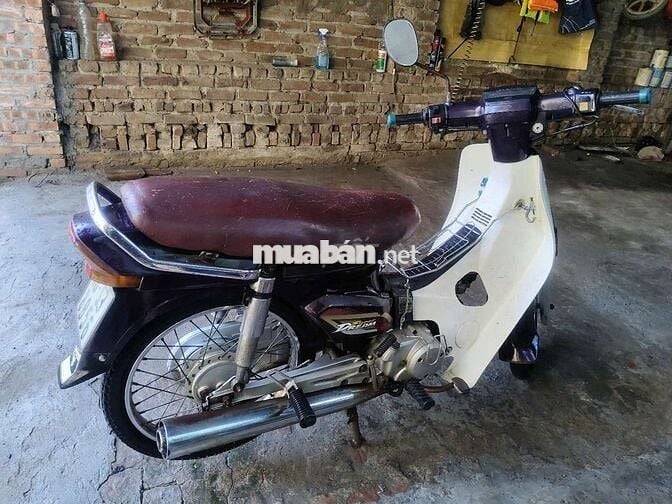Xe Dream việt