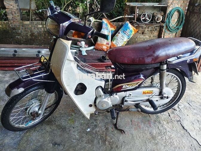 Xe Dream việt