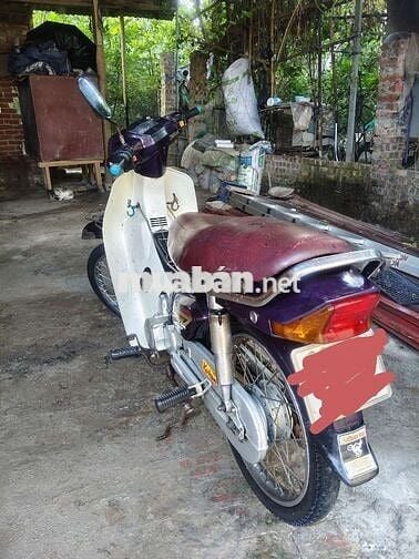 Xe Dream việt