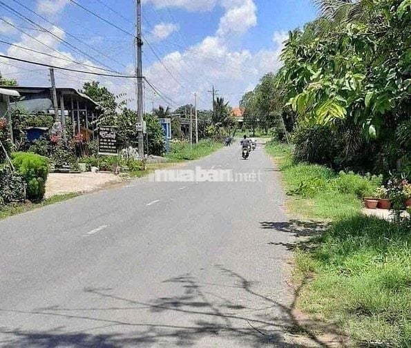 ĐẤT VƯỜN 1000m2 SỔ SẴN mặt tiền đường 16m