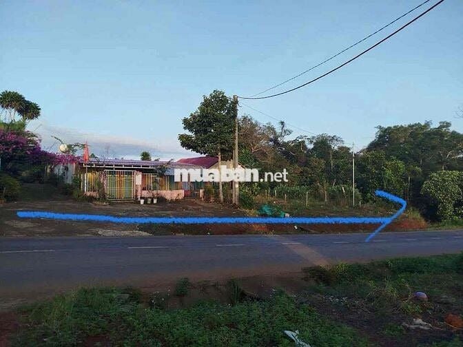 Bán Đất 82m Mặt Tiền QL28,thổ cư,5000m2 phương Bắc Gia Nghĩa chỉ 28 tỷ