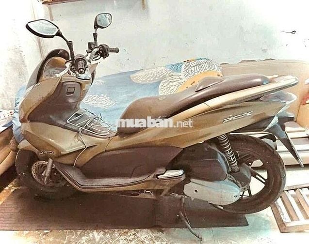 xe pcx cũ