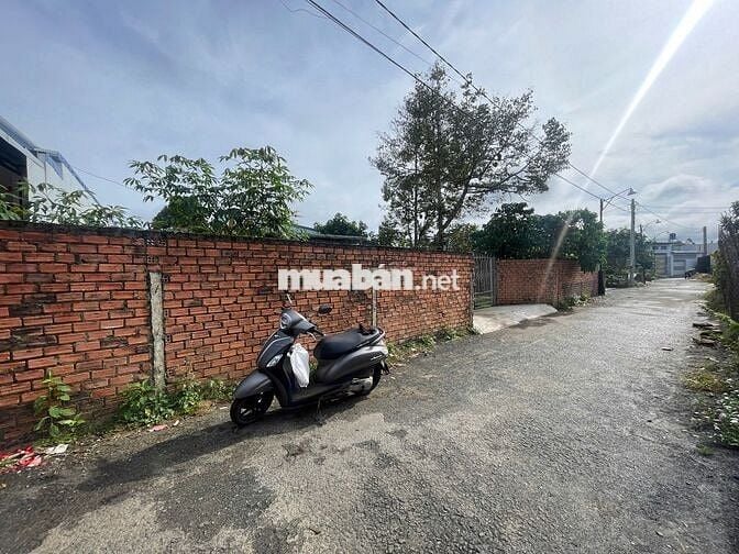 Đất 200m² Tân Hà – Lộc Tiến - Bảo Lộc, full rào, giá chỉ 1.68 tỷ