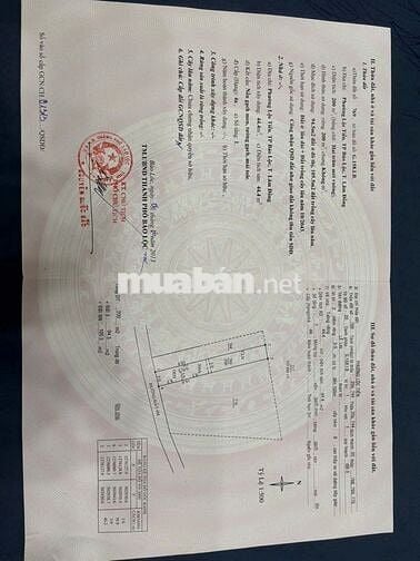 Đất 200m² Tân Hà – Lộc Tiến - Bảo Lộc, full rào, giá chỉ 1.68 tỷ