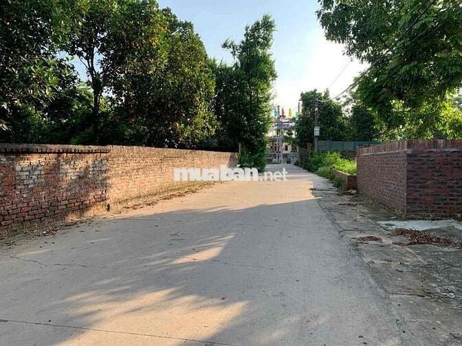 Nhỏ Xinh Dễ Thanh khoảng (Xã Minh Trí Cũ– Sóc Sơn)-64m²-Hơn 1T.ỷ-Full