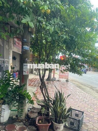 Nhà mặt phố tại Phố Nỷ,Trung Giã, Sóc Sơn, Hà Nội