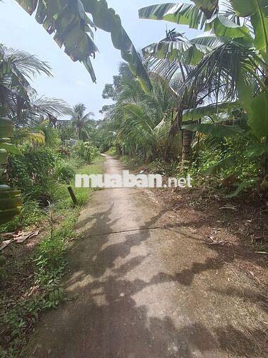 Đất full thổ cư.được sử dụng thoải mái phần mé sông.500m chợCái Chanh
