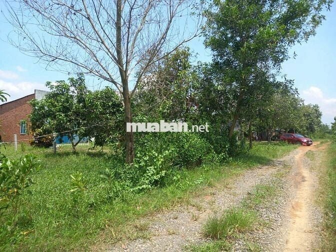 Bán gấp 1685m2 (300m2 thổ cư), Định Quán, Đồng Nai, sổ hồng riêng