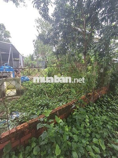 Đất full thổ cư.được sử dụng thoải mái phần mé sông.500m chợCái Chanh