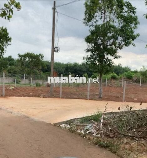 Cần bán gấp đất sào tại Dầu Giây