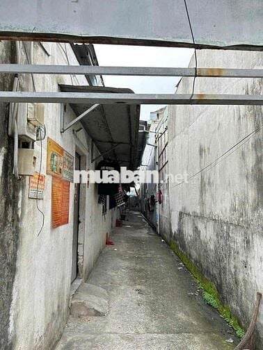 Mt liên xã  Xã Tân Hiệp , Huyện Hóc môn